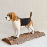 tunemezelt beagle