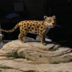 tunemezelt jaguar